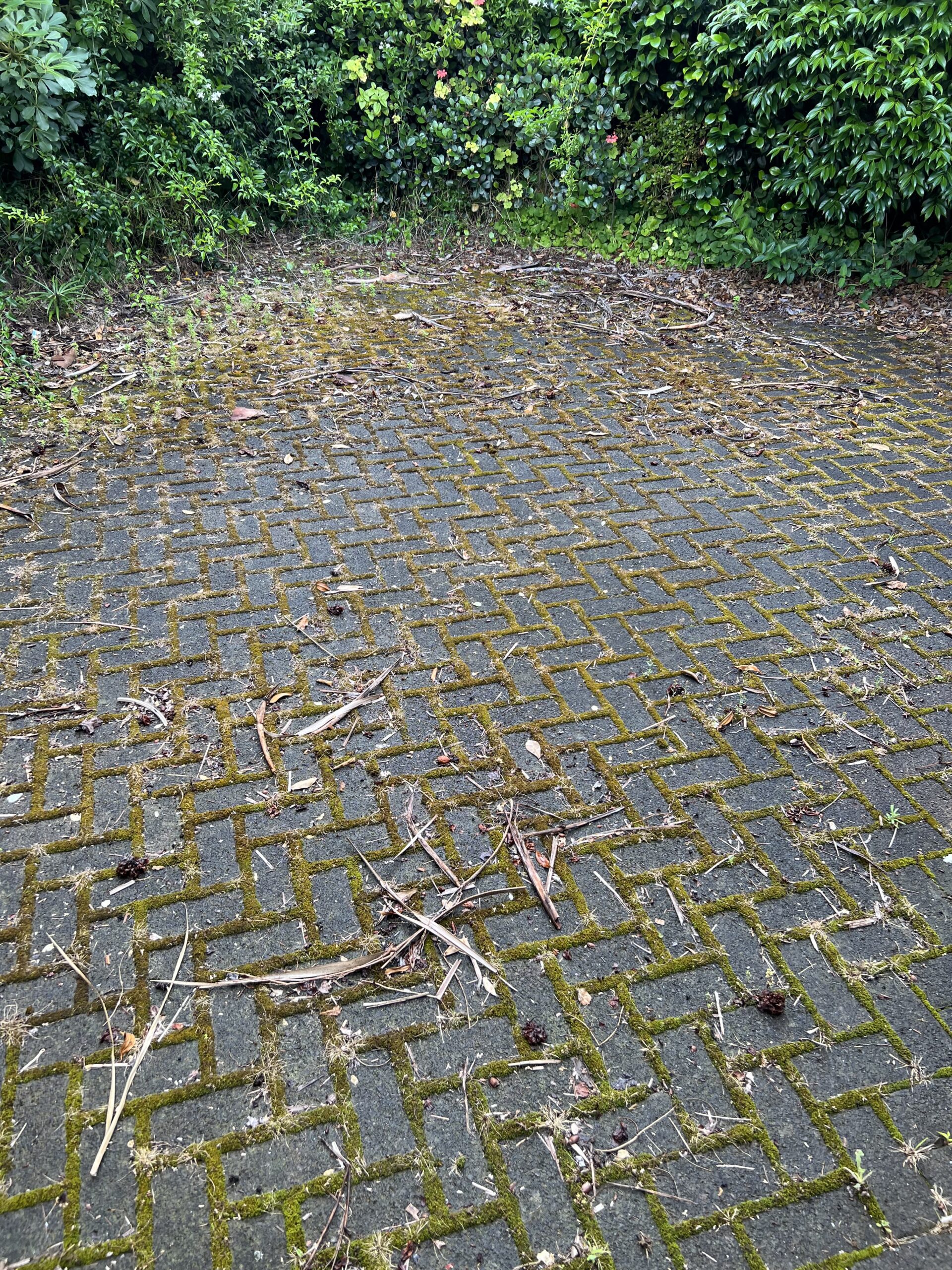 How to Get Rid of Moss on Your Roof and Driveway: An East Auckland Guide